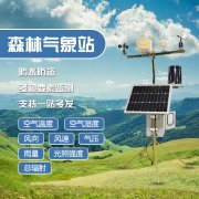 預防森林火災，保護森林生態(tài)系統(tǒng)