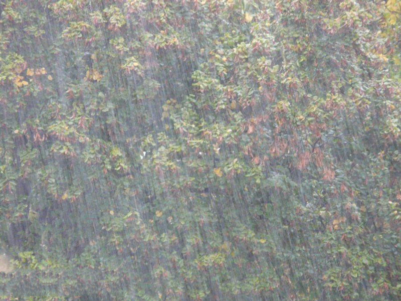 農業種植業如何應對暴雨？